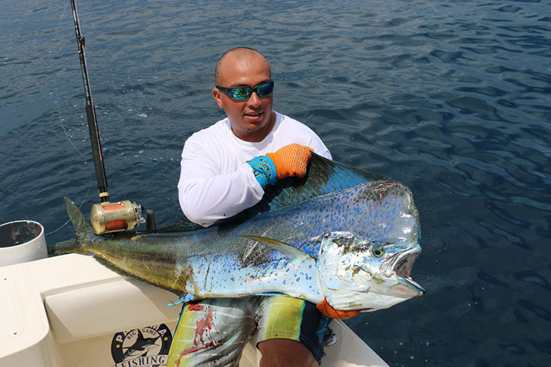 displaying the latest trophy fish catch in Panama