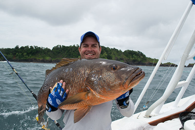 a caught yellow snapper on the boat