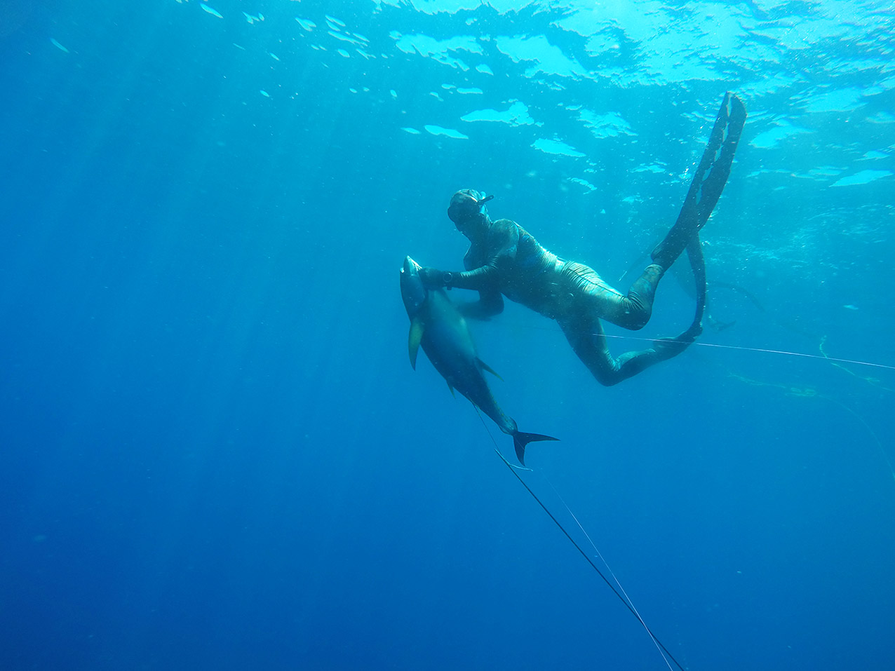 Underwater Spearfishing