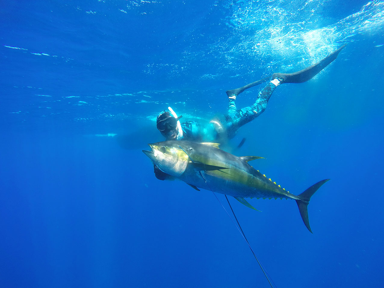 WATER SPORTS - Spearfishing - Fish Bags - scubachoice