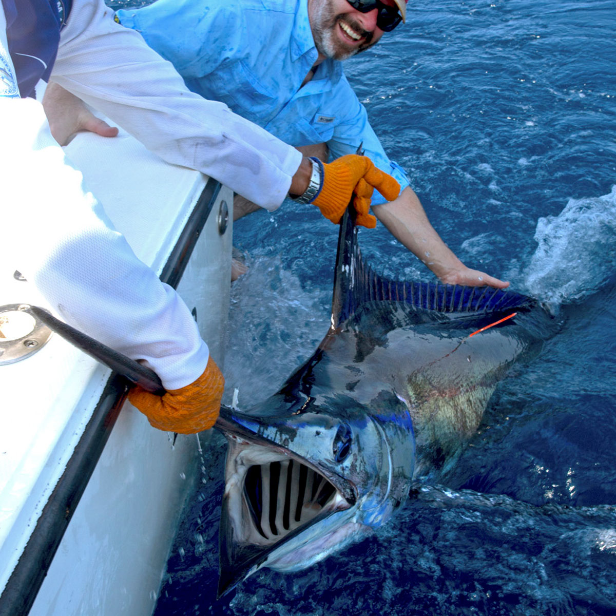 How to Catch Blue Marlin - Tips for Fishing for Blue Marlin