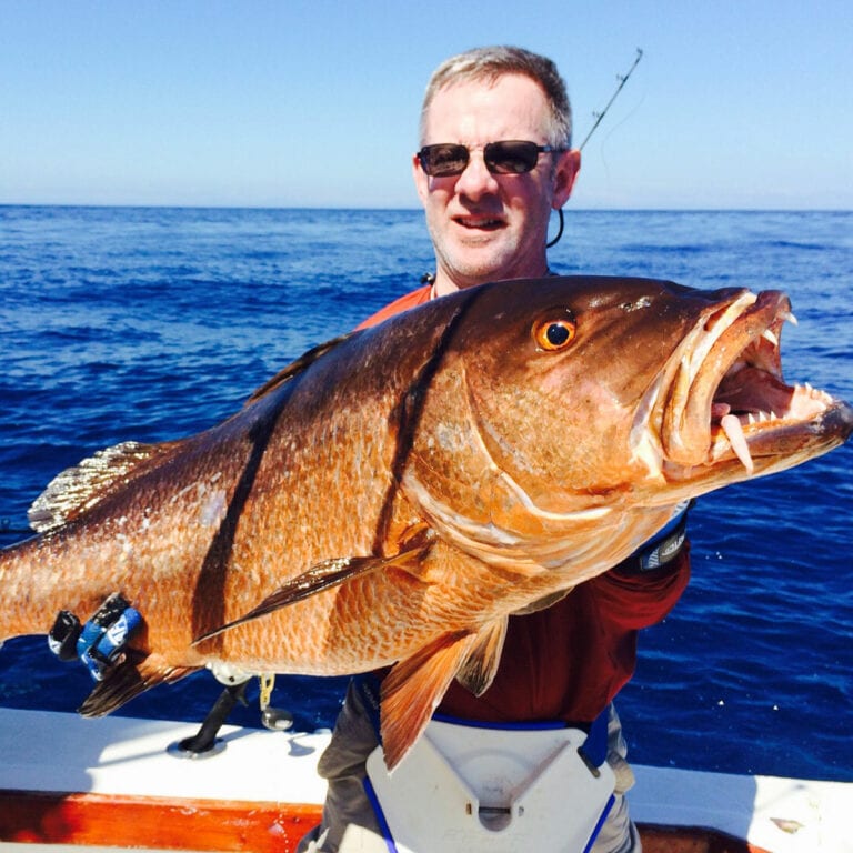Cubera Snapper Fishing, Characteristics and Where to Find Them