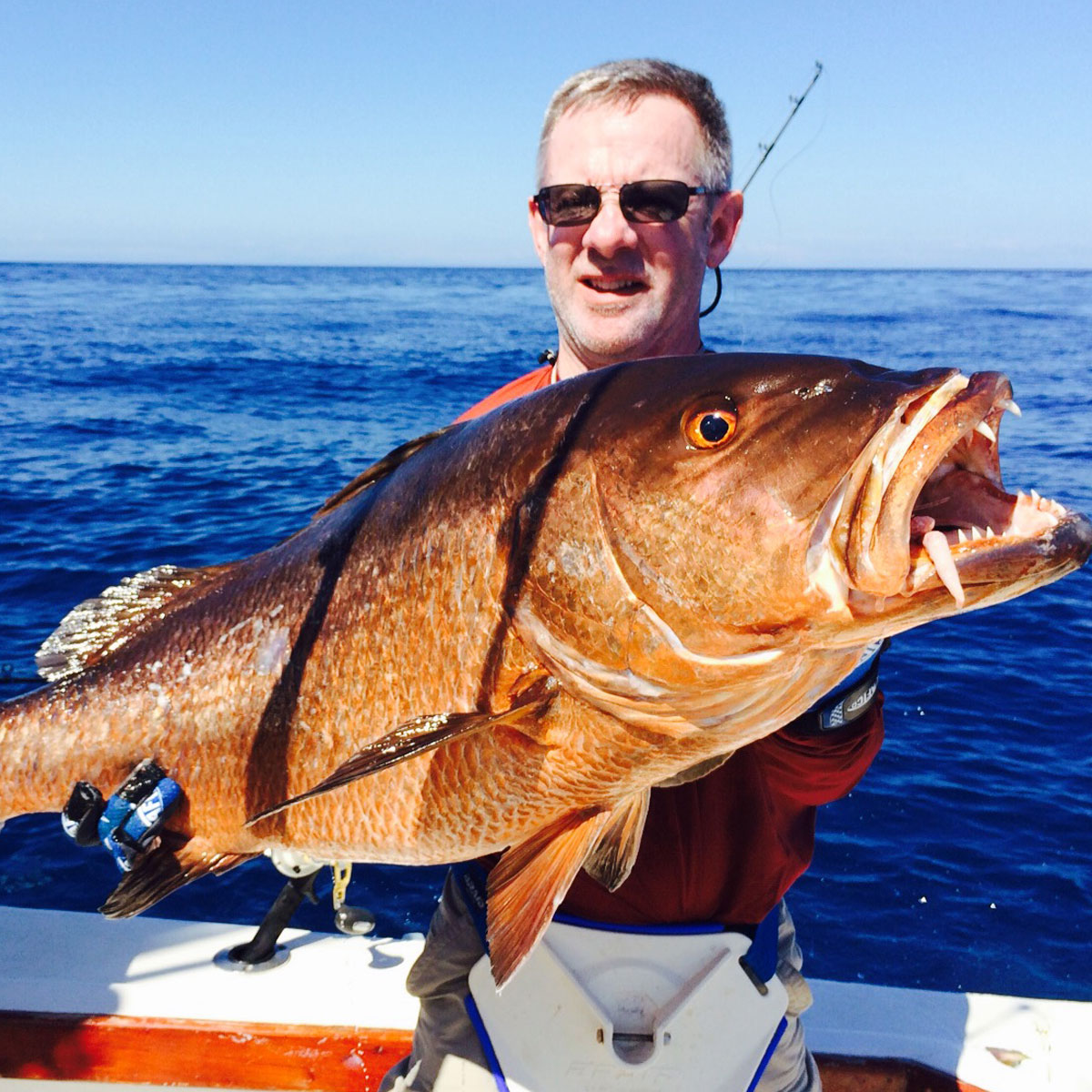 Cubera Snapper - Characteristics and Where to Find Them