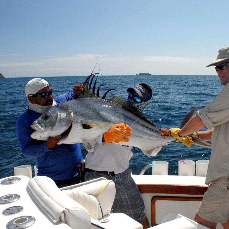 Panama Roosterfish, Where and How to Find Them