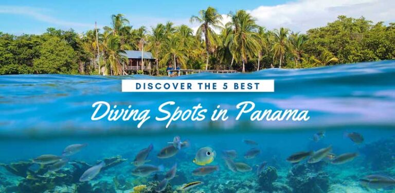 Discover the 5 Best Diving Spots in Panama