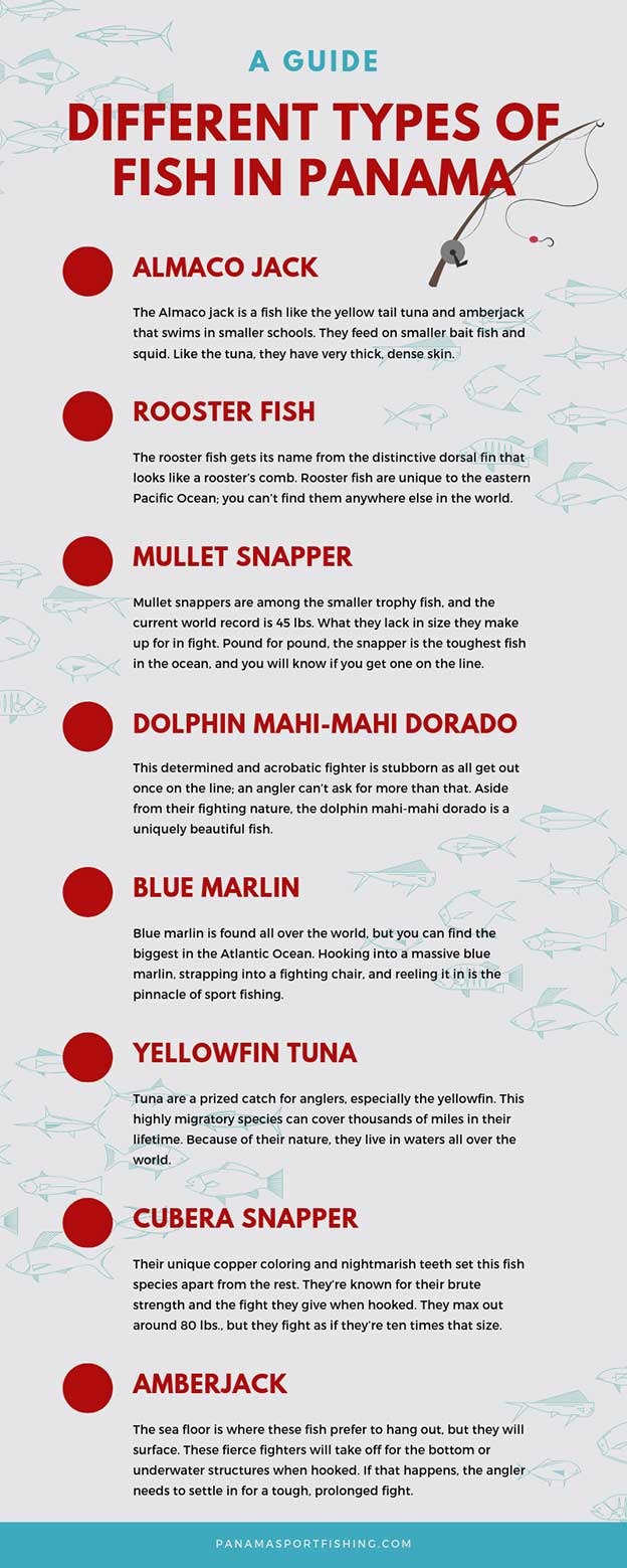 types of Fish in Panama