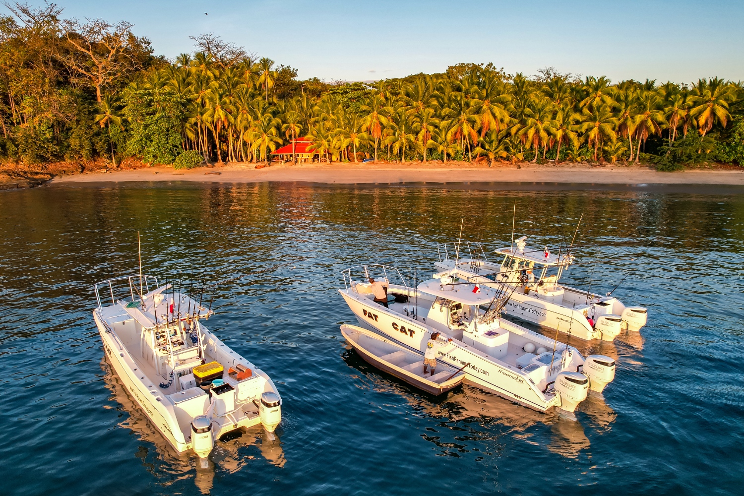 fish panama today lodge and fishing charter