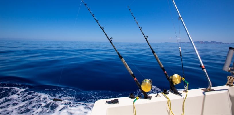 5 Fun Panama Fishing Charters in 2020