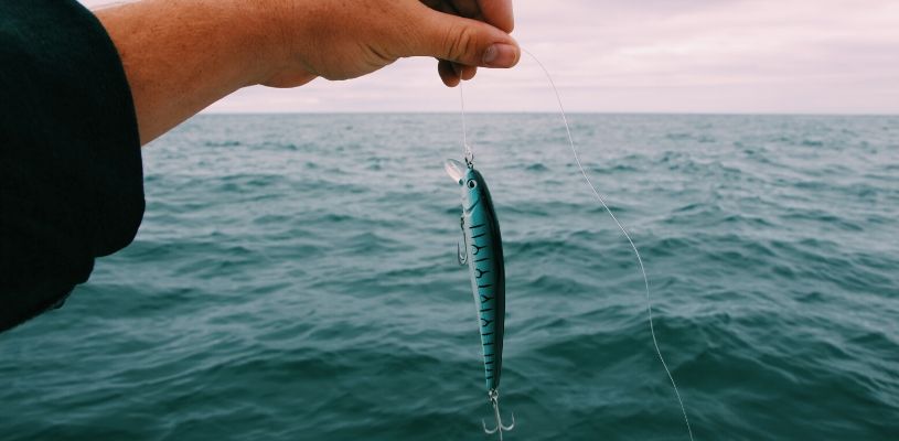 Inshore Versus Offshore Fishing: What’s the Difference?