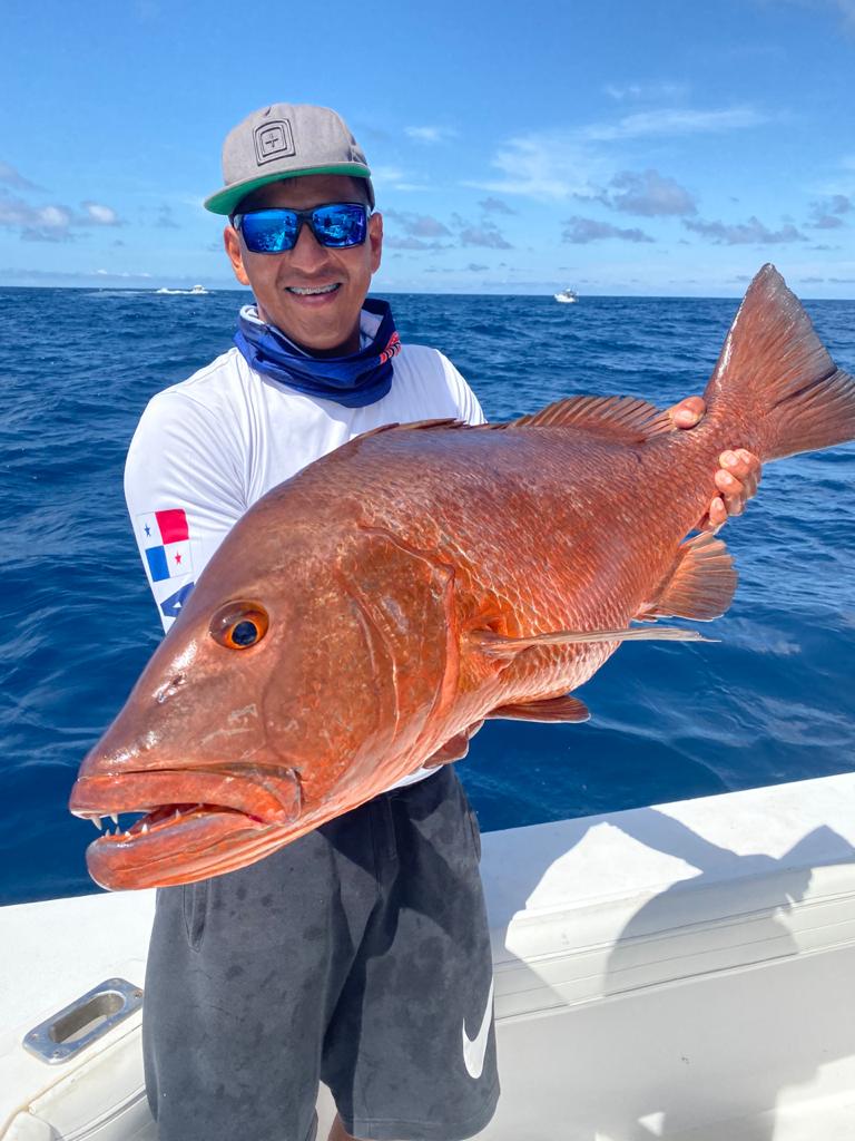 Cubera Snapper