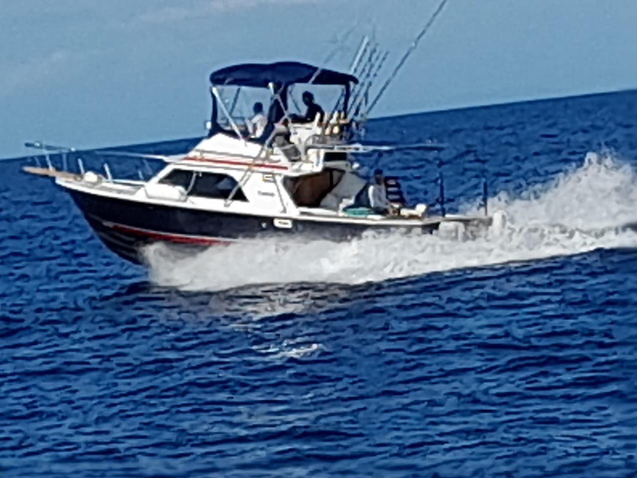 Blackfin Sport Fisher