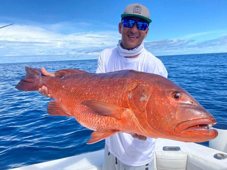 cubera snapper panama