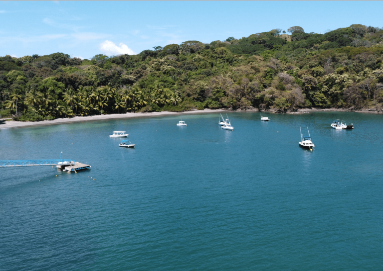 Best All-Inclusive Fishing Trips in Panama by Region