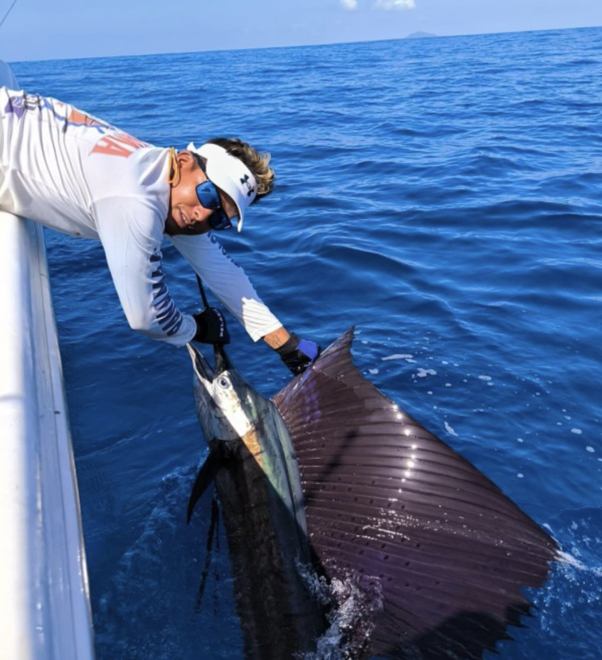 sailfish billfish panama