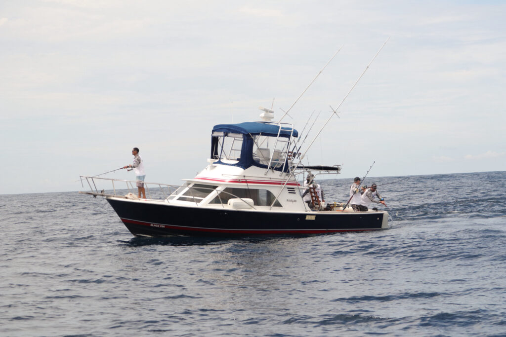 luxury fishing charter