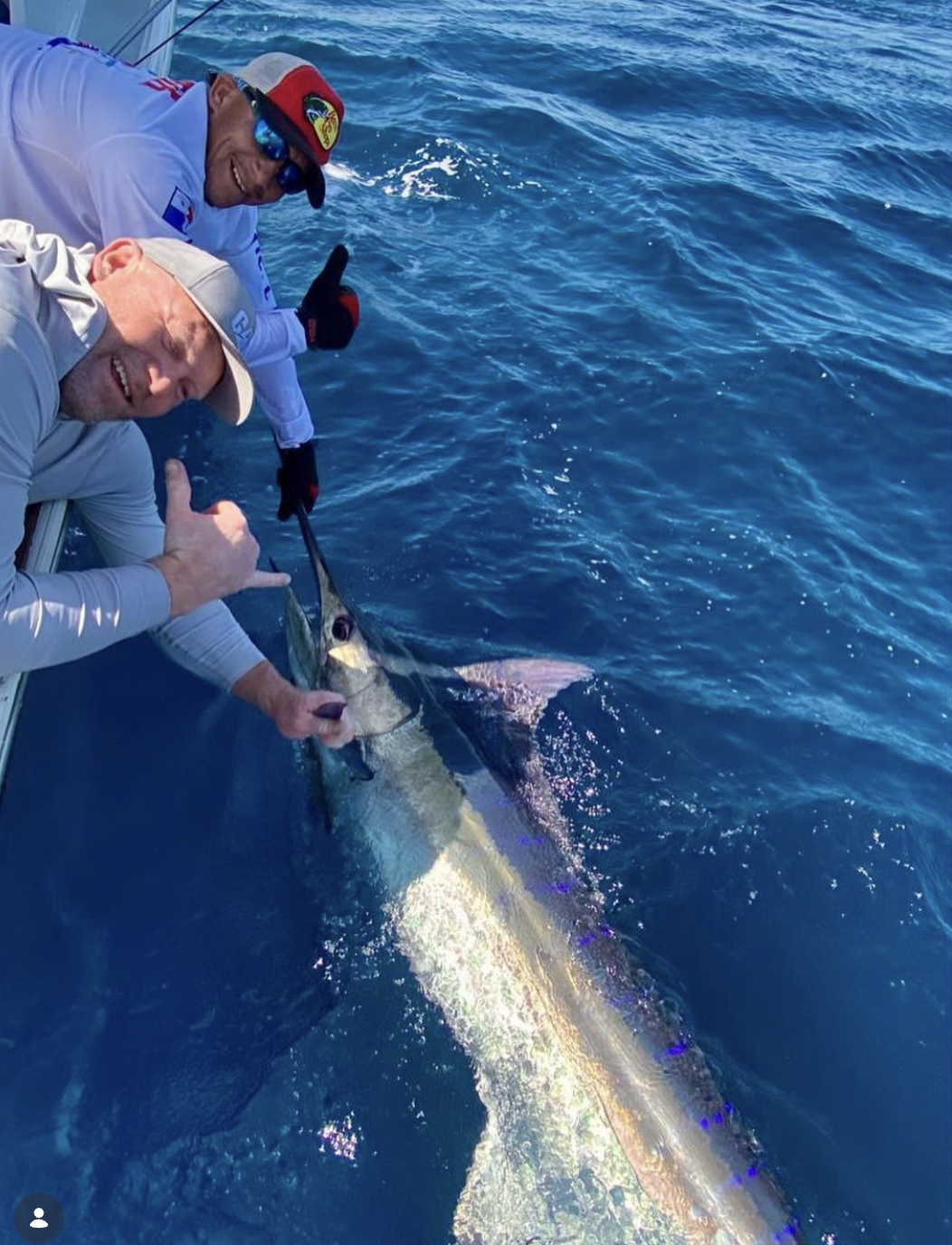 marlin fishing