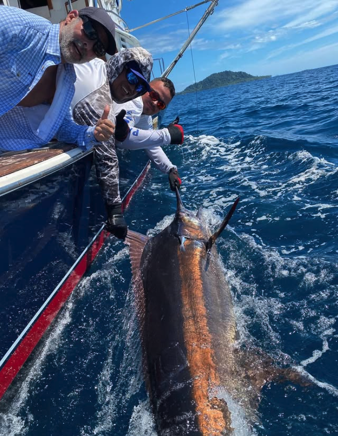 black marlin fishing