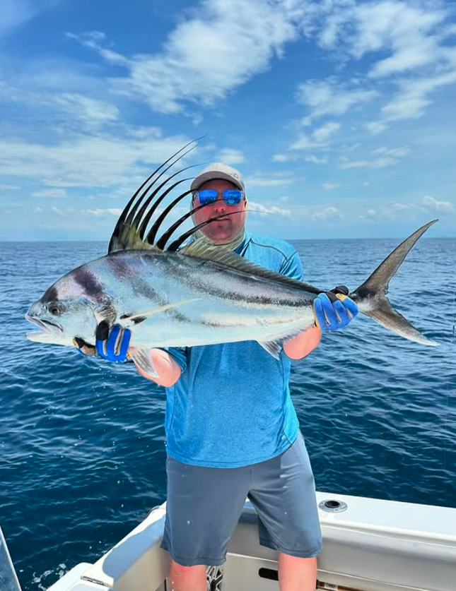 roosterfish in panama