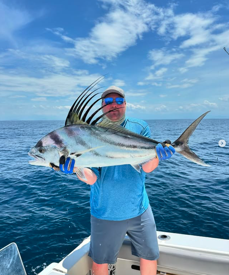 roosterfish in panama
