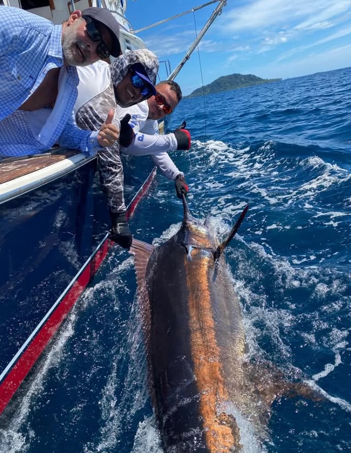 black marlin panama