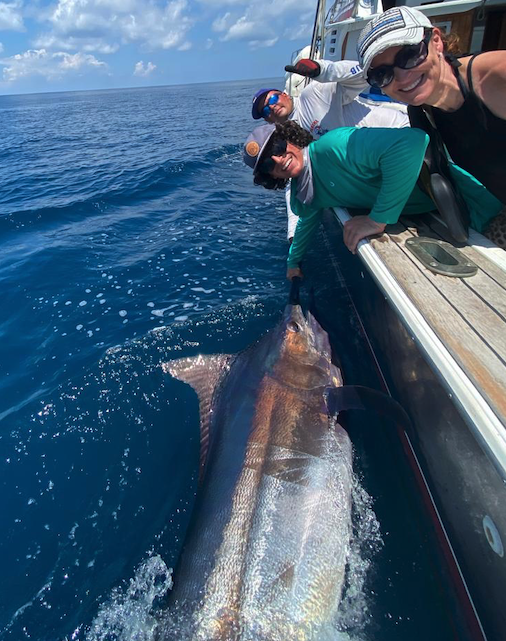 blue marlin fishing ladrones