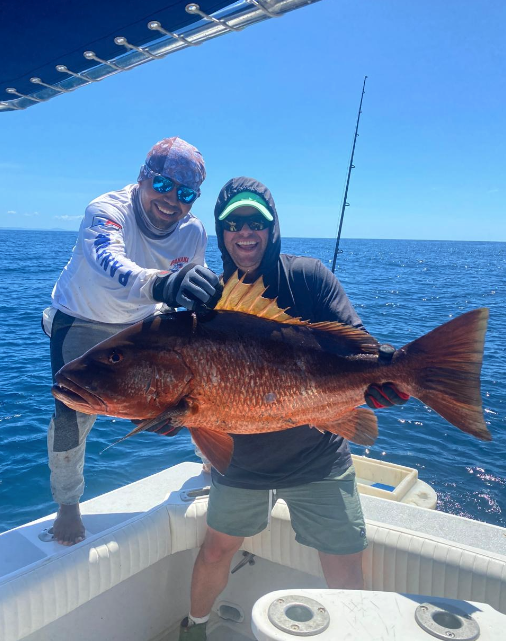cubera panama