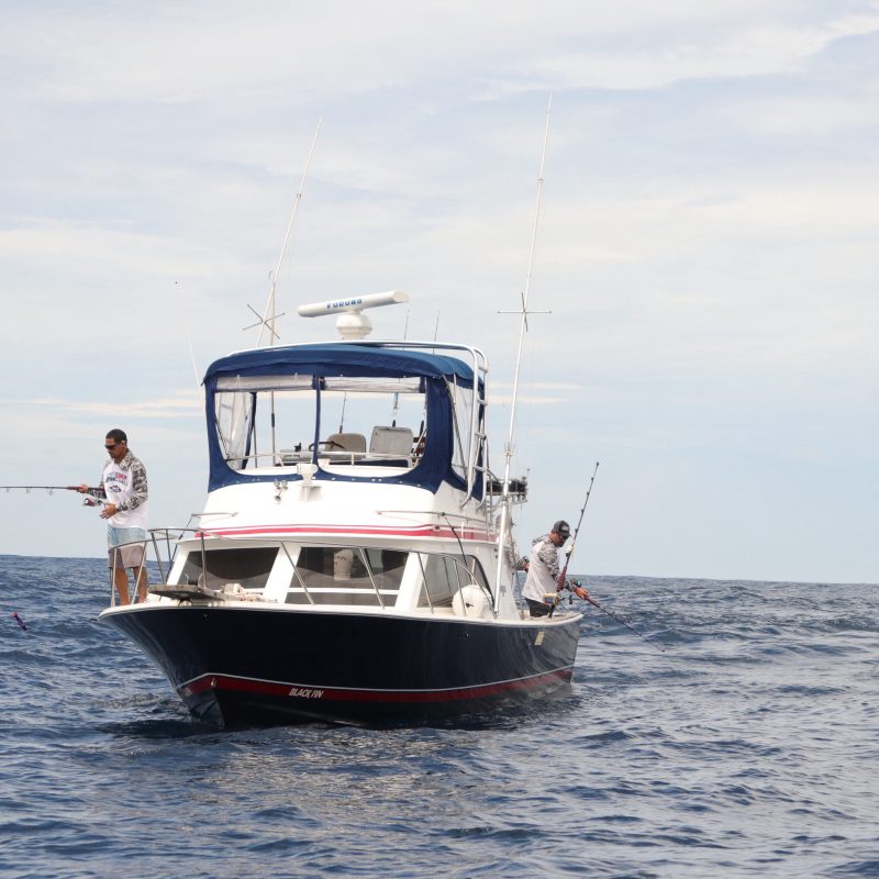 luxury fishing charter