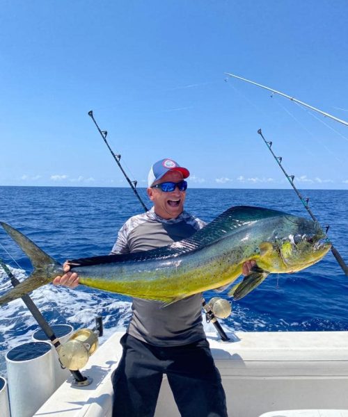 mahi