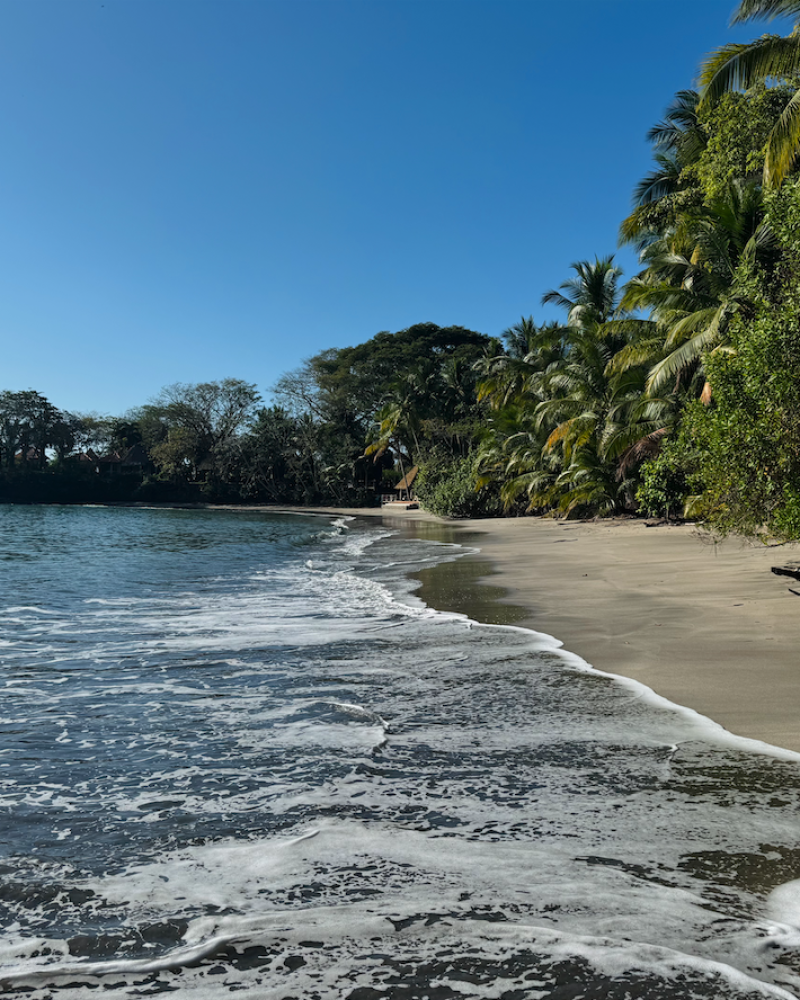coco bay