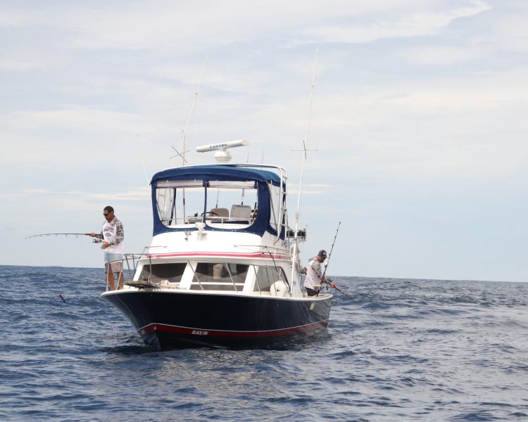 desperadoboat_compressed