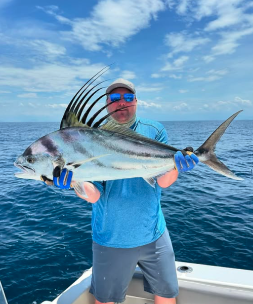 roosterfish in panama
