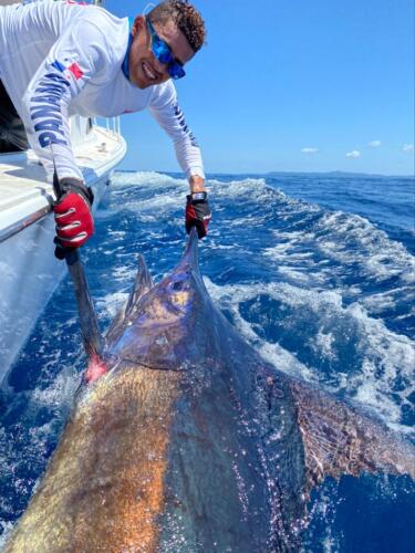 Panama Nautical Club Marlin Action