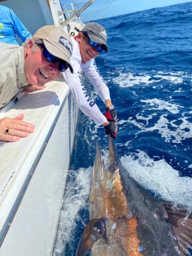 Panama Nautical Club Marlin Action