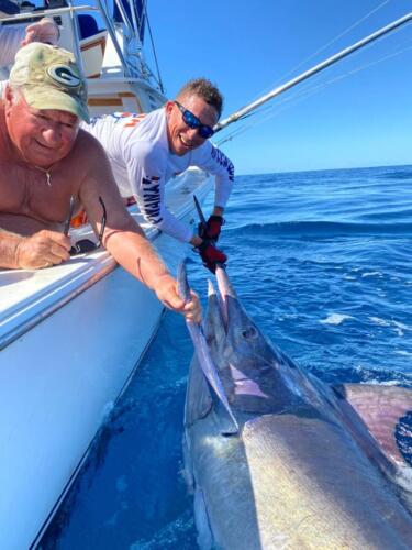 Panama Nautical Club Marlin Action